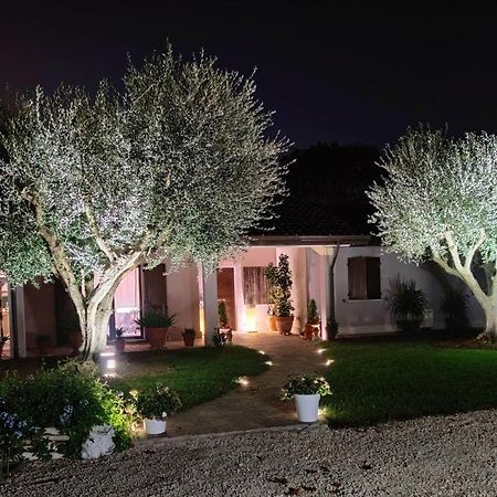 B&B Flavio E Catia Marotta Eksteriør bilde