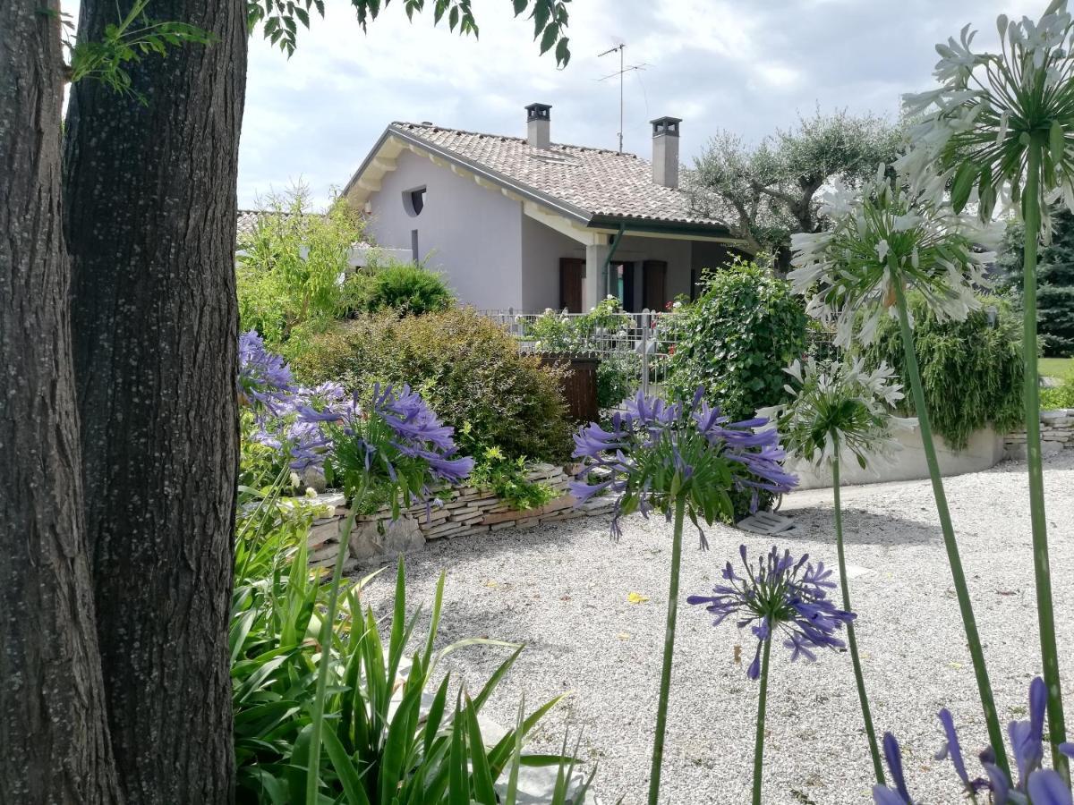 B&B Flavio E Catia Marotta Eksteriør bilde